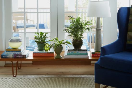 Read more about the article 8 DIY Humidifier Ideas